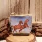 Preview: Geöffnete Pferde-Geldbörse mit Blick in das geräumige Hauptfach für Münzen und Scheine.